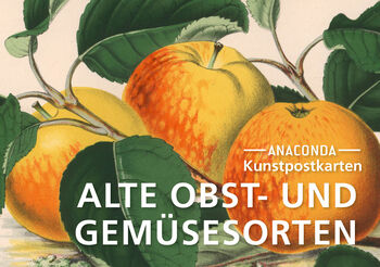 Postkarten-Set Alte Obst- und Gemüsesorten von 